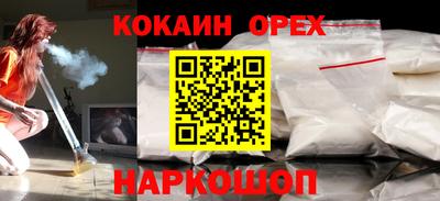 гашик Камышлов