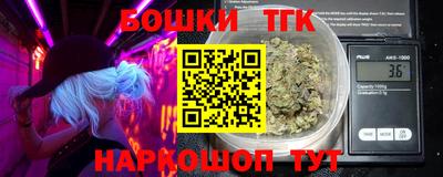 гашик Камышлов