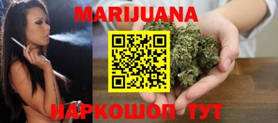 гашик Камышлов