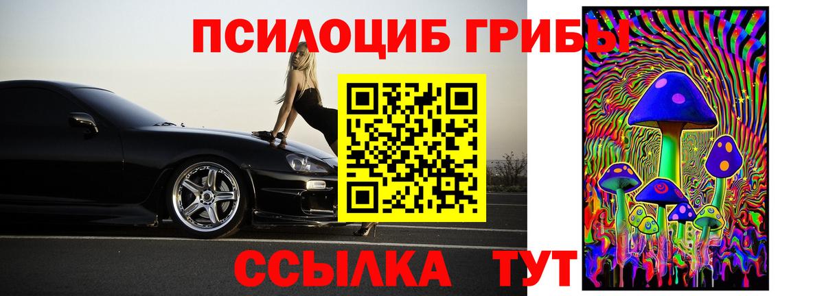 Старая Купавна  Псилоцибиновые грибы Magic Shrooms  Вход с VPN 
